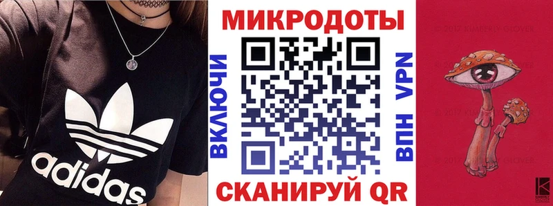 Галлюциногенные грибы Psilocybine cubensis  купить закладку  Выборг 